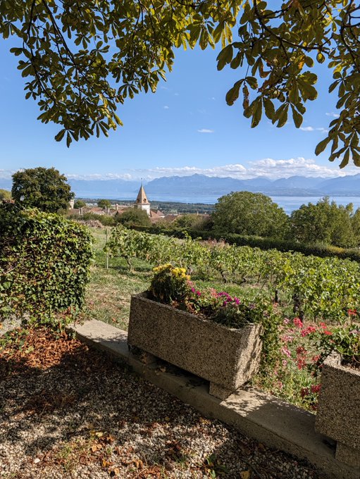 A serene vineyard overlook with a stone planter of flowers frames a distant village, lake, and mountains under a clear blue sky—capturing the calm "buy Bitcoin and don't get shaken out for at least 2 years" mindset of steady patience amid a beautiful, unhurried view, with no visible text or numbers in the scene.