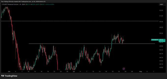 A TradingView 4-hour candlestick chart of the LTC/USD Perpetual Contract on Bybit shows price trading around $46.99, down 0.18%, as Litecoin holds near a key resistance level above $46.50 following a strong recovery from its late-June lows near $42.60, illustrating the post's note that LTC is one of the stronger performers today relative to broader market weakness.