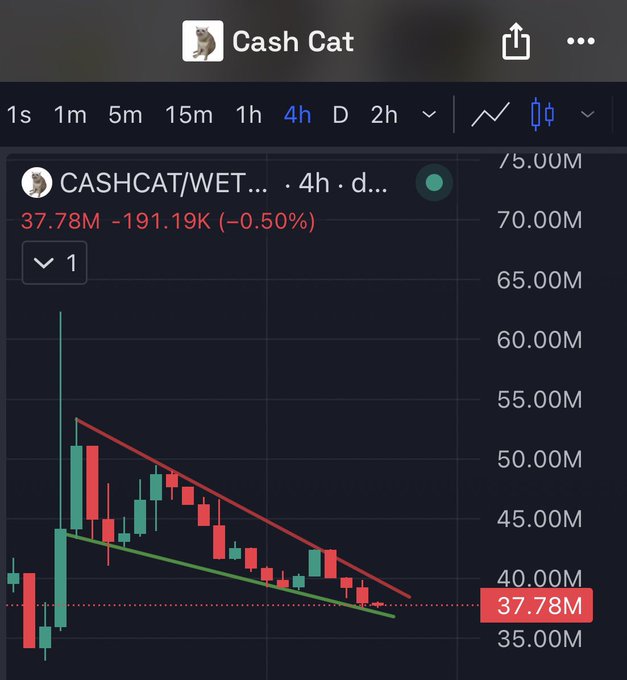A 4-hour candlestick chart for $CASHCAT/WET shows the token trading at 37.78M with a -0.50% decline (-191.19K), displaying a clear descending wedge/flag pattern bounded by red and green trendlines amid choppy price action. The chart visually supports the post's claim of a potential bullish flag formation forming after poor price action, suggesting a contrarian buying opportunity ahead of a possible breakout.