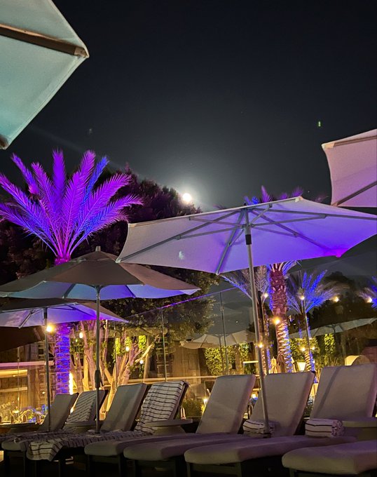 A nighttime view of an upscale outdoor lounge area features lounge chairs under illuminated umbrellas, with palm trees brightly lit in purple against a full moon.