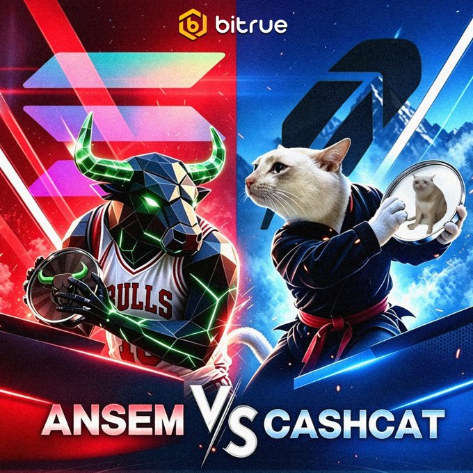 The image is a Bitrue promotional graphic featuring a "Versus" showdown between two meme coin mascots—a geometric bull in a Chicago Bulls jersey labeled "ANSEM" on the red side, and a martial arts-clad white cat holding a mirror labeled "CASHCAT" on the blue side. It visually represents the social media rivalry mentioned in the post, pitting the rising meme tokens $ANSEM and $CASHCAT against each other for crypto traders to choose between.