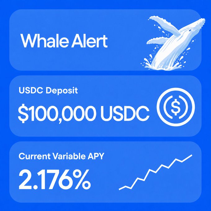 A blue "Whale Alert" notification displays a $100,000 USDC deposit alongside a 2.176% current variable APY, illustrating the large stablecoin inflows the post highlights as opportunities to earn yield through Liquidium's lending protocol backed by BTC, ETH, and ICP collateral.