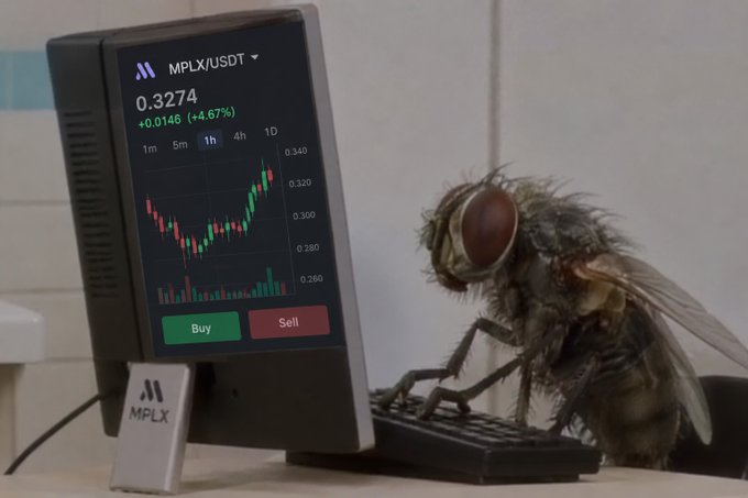 A humorous scene showing a large fly perched on a keyboard in front of a computer monitor displaying the MPLX/USDT trading chart at 0.3274 (+4.67%), with an MPLX-branded hardware wallet sitting nearby.