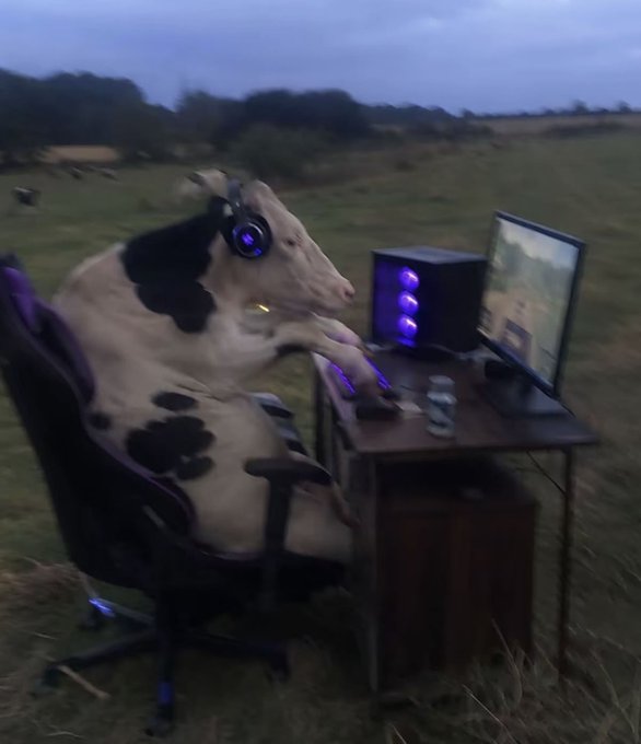 An AI-generated or surreal image of a black and white cow wearing glowing headphones, sitting in a gaming chair and using a purple-lit computer setup in a field.