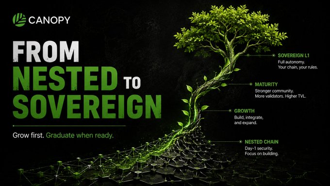 A promotional graphic for Canopy blockchain titled 'FROM NESTED TO SOVEREIGN' showing a tree growing from a digital network with labels like 'NESTED CHAIN', 'GROWTH', 'MATURITY', and 'SOVEREIGN L1'.