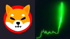 Split image featuring a Shiba Inu dog logo in red and orange alongside a green line chart showing a sharp upward spike on a dark background.