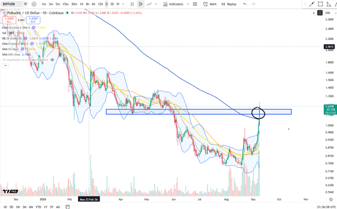 A daily candlestick chart of Polkadot (DOT/USD) on Coinbase shows the price attempting to break back above a key horizontal support-turned-resistance zone around $1.25, highlighted by a black circle near the September timeframe, after a prolonged downtrend throughout 2024.