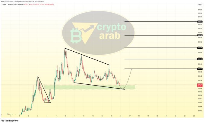 A TradingView chart of #COOKIE/USDT on Binance shows a descending triangle pattern with price testing the lower support zone around $0.2520, while horizontal liquidity levels are marked at approximately $0.2966, $0.3060, $0.3200, and $0.3290, suggesting potential upside targets if the pattern breaks bullishly.