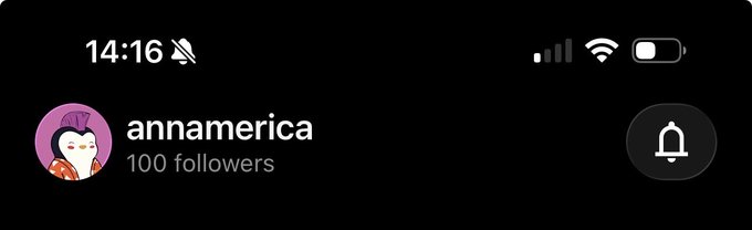 A screenshot of an Instagram profile for 'annamerica' showing 100 followers, with a cartoon cat icon, displayed at 14:16 on a mobile device.