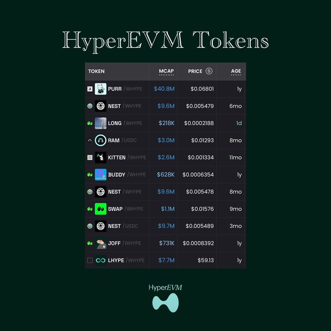 A table titled "HyperEVM Tokens" displays a list of tokens including PURR ($40.8M mcap, $0.06801), NEST ($9.6M), LONG ($218K), RAM ($3.0M), KITTEN ($2.6M), BUDDY ($628K), SWAP ($1.1M), JOFF ($731K), and LHYPE ($7.7M), showing their market caps, and ages ranging from 1 day to 11 months. This dashboard illustrates the diverse token ecosystem on HyperEVM, supporting the claim of significant trading activity with $35M in 24-hour volume across these listed assets.