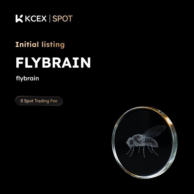 An advertisement from KCEX SPOT announcing the initial listing of the cryptocurrency 'FLYBRAIN' (flybrain) with zero spot trading fees, featuring a wireframe fly graphic inside a coin.