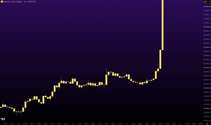 A candlestick chart titled "Bitcoin / U.S. Dollar - 1h - CRYPTO" showing BTC/USD on TradingView, with prices ranging from $2,800 to $8,800 and a sharp upward spike on the right side.