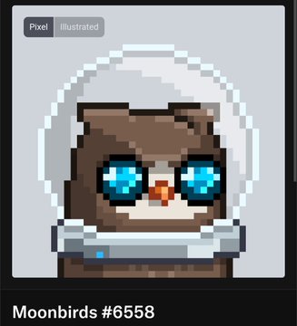 A pixel art illustration of a Moonbirds NFT (#6558), featuring a brown bird character wearing a white spacesuit hood with bright blue eyes.