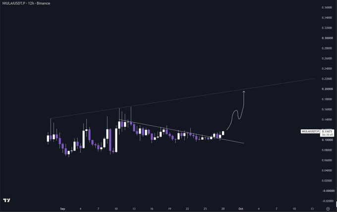 A 12-hour Binance candlestick chart for NIL/USDT.P showing price action between approximately 0.08 and 0.16, with a drawn ascending trendline and an arrow indicating a projected bullish move. The chart visually supports the post's mention of "longing the bull" by highlighting a breakout above the converging trendlines, suggesting momentum for a trade.