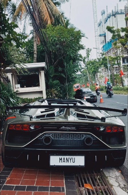 A gray Lamborghini Aventador with a 'MANYU' license plate is parked on a tiled sidewalk beside a tropical street.