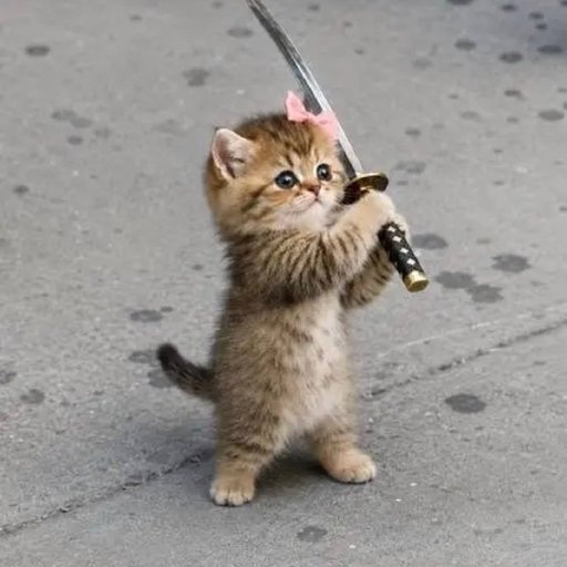 An adorable small brown tabby kitten stands on its hind legs on a paved surface, reaching up with its front paws to grasp the black handle of a katana-style sword, wearing a tiny pink bow on its head.