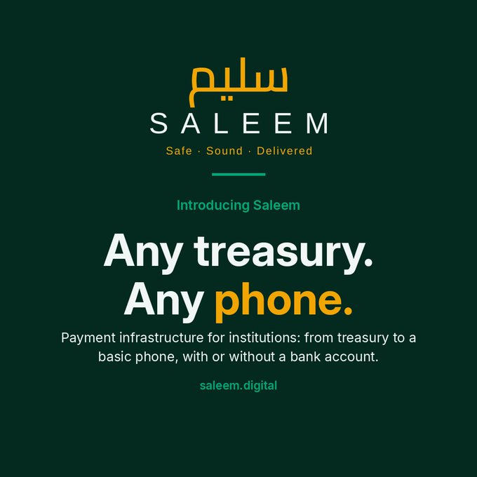 A promotional graphic for 'SALEEM' with the tagline 'Safe · Sound · Delivered', introducing payment infrastructure for institutions with 'Any treasury. Any phone.' and 'saleem.digital'.