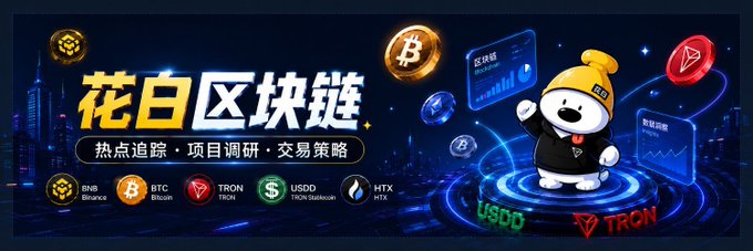 The image is a promotional banner for "花白区块链" (Huabai Blockchain) featuring a cartoon mascot in a yellow beanie standing on a Bitcoin platform, surrounded by logos of major cryptocurrencies including BNB (Binance), BTC (Bitcoin), TRON (TRX), USDD (TRON Stablecoin), and HTX. The banner highlights services like "热点追踪·项目调研·交易策略" (hotspot tracking, project research, trading strategies) and displays fund flow charts showing 区块链 (blockchain) and 智能图表 (smart charts) metrics, visually representing the exchange fund flow data referenced in the post about HTX's strong net inflows ranking second after Binance.