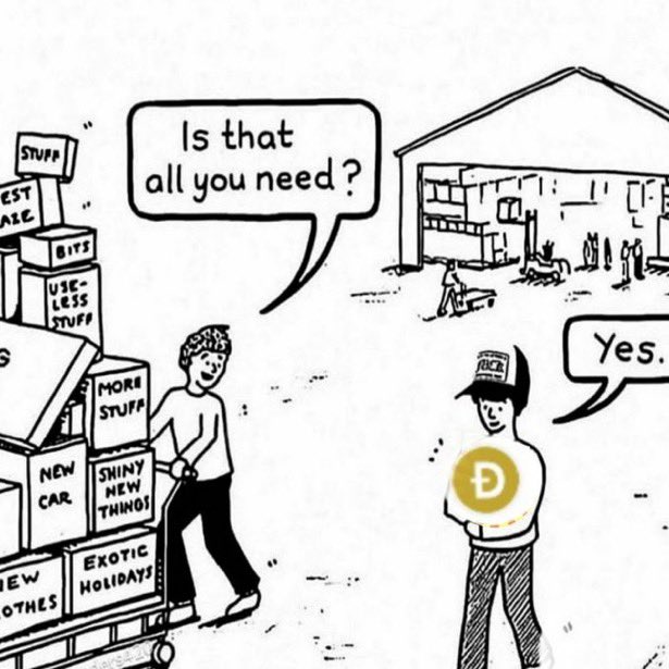 A black-and-white cartoon shows a person with a cart full of labeled boxes (including 'STUFF', 'NEW CAR', 'SHINY NEW THINGS', 'EXOTIC HOLIDAYS') asking 'Is that all you need?' while another person wearing a 'VISA' cap holds up a gold Dogecoin (Ð) coin and replies 'Yes.'