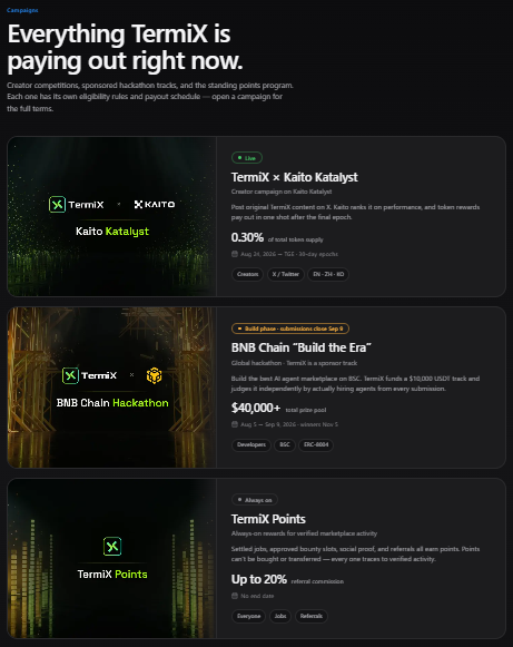A screenshot of TermiX's Campaigns page showcasing three active programs: "TermiX × Kaito Katalyst" (a live content competition on Kaito with 0.30% of total token supply), "BNB Chain 'Build the Era'" (a $40,000+ prize global hackathon in build phase), and "TermiX Points" (an always-on rewards program offering up to 20% referral commission), each displayed with green-accented branding on a dark background.