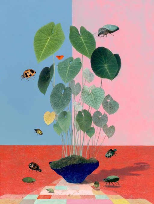 A potted plant with heart-shaped leaves sits on a checkered surface surrounded by beetles and insects against a split blue and pink background. The collage-style artwork appears to be the NFT piece "Curio XVIII" mentioned in the post, celebrating a successful secondary auction bid of 16 tez from @District468.