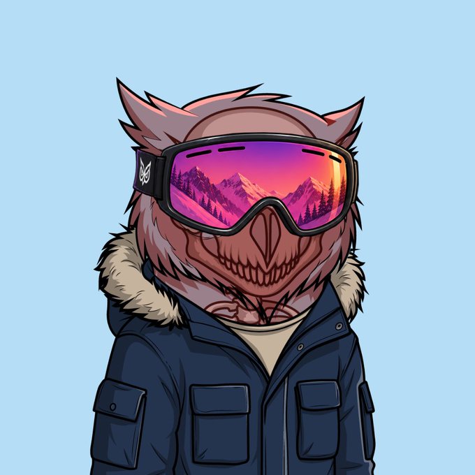 A digital illustration of an anthropomorphic owl character wearing pink ski goggles that reflect a mountain sunset, dressed in a dark blue winter jacket with a fur-lined hood.