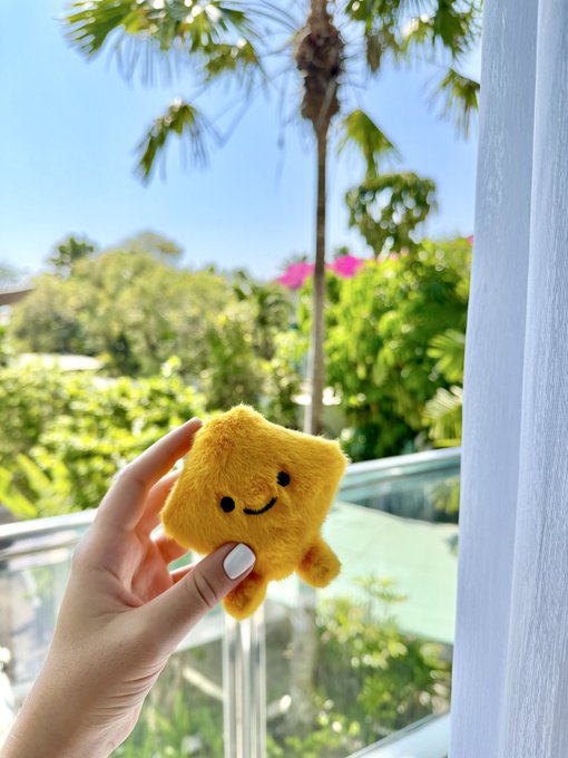 A hand holds a small, smiling, yellow plush star toy up against a sunny outdoor backdrop featuring a palm tree and lush greenery.