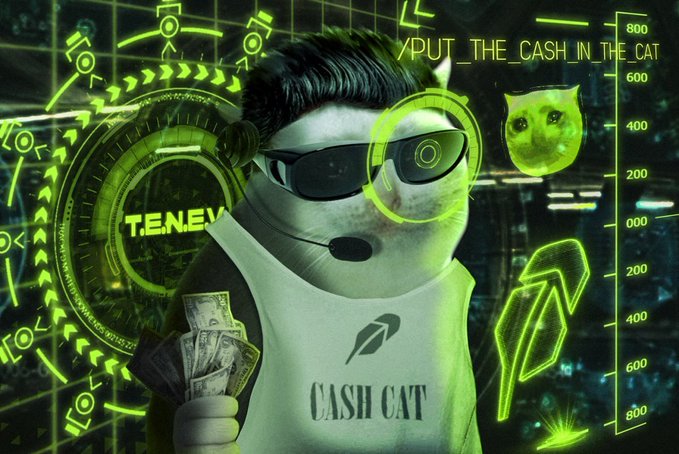 A digitally edited image of a cat wearing sunglasses and a headset, wearing a 'CASH CAT' tank top and holding money, overlaid with green cyber-themed graphics including '/PUT_THE_CASH_IN_THE_CAT' and 'T.ENEMY'.