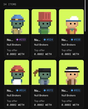 The image displays a marketplace listing of 34 Null Brokers NFTs, with each item showing a pixelated character wearing various hats and priced at 0.0002 WETH (e.g., #233, #524, #538, #614, #672, #831). The grid showcases different rare trait variations of the Null Brokers collection, reflecting the poster's enthusiasm for finding unique pieces in the project.