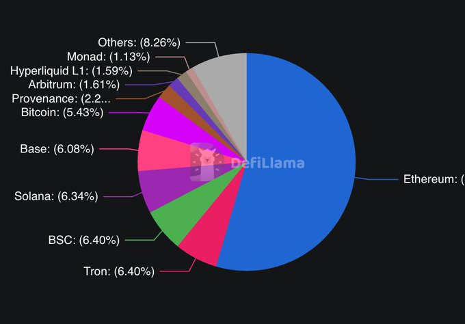 A pie chart from DefiLlama showing blockchain market share distribution led by Ethereum, followed by Others (8.26%), BSC (6.40%), Tron (6.40%), Solana (6.34%), Base (6.08%), Bitcoin (5.43%), Provenance (2.2%), Arbitrum (1.61%), Hyperliquid L1 (1.59%), and Monad (1.13%).