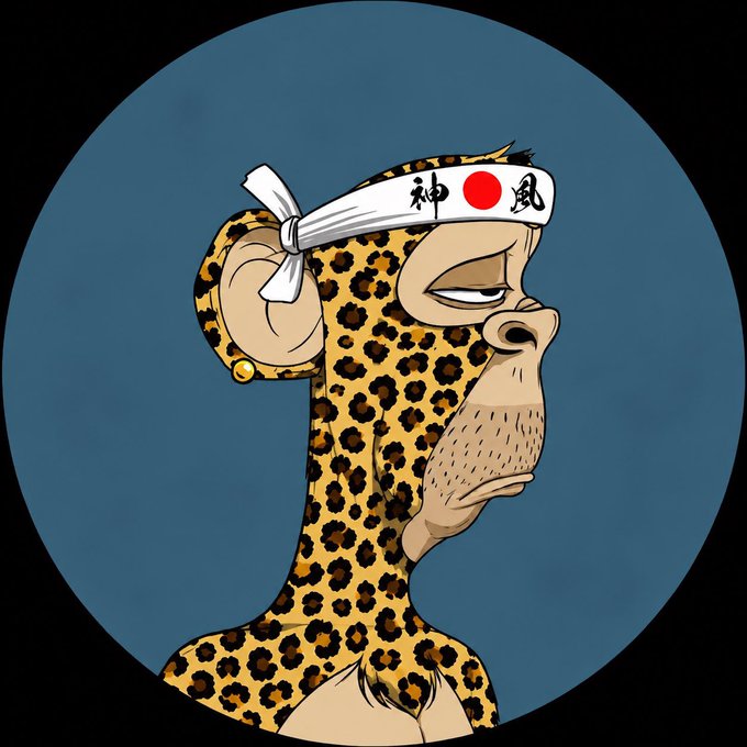 A cartoon illustration of a leopard-print monkey wearing a white Japanese hachimaki headband with the red sun and kanji characters '神風' (kamikaze), set against a dark blue circular background.