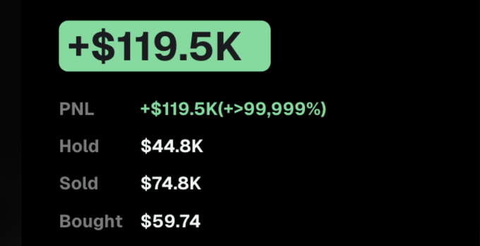 A digital interface displays financial data showing a PNL of "+$119.5K (+>99,999%)", with a Hold of $44.8K and Sold of $74.8K.