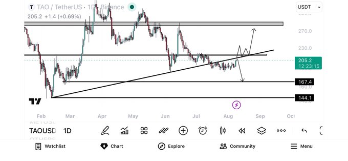 A daily TAOUSDT chart on TradingView shows price at 206.2 (+1.4, +0.69%), with TAO currently testing a descending trendline from February near the 216.9 support level after breaking below it, with key horizontal levels marked at 270.0, 230.0, 167.4, and 144.1. The chart visually illustrates the trader's setup: a reclaim above both the February trendline and the 216.9 daily support would trigger a long-term spot entry, while continued trading below keeps them sidelined.