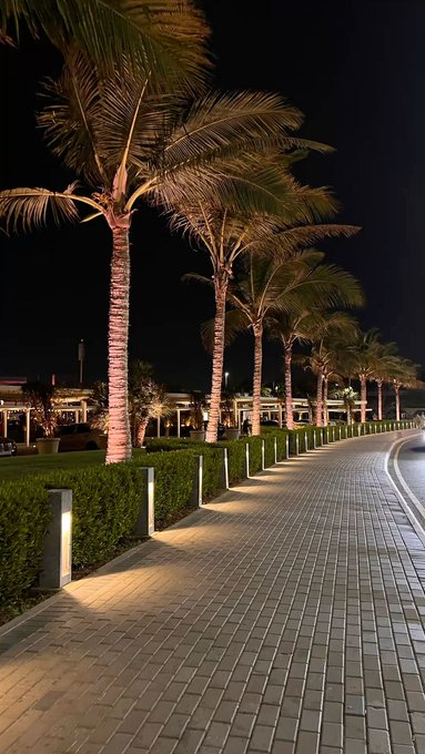 The image features a row of palm trees lined up along a sidewalk at night. The trees are illuminated by lights, creating an inviting atmosphere for passersby. A person can be seen walking near one of the trees, adding life to the scene. The photo is captioned with "Good Night Sleepagotchi fam Time to log off, recharge, and let your sleep do the work." This message seems to be related to the post about sleep hygiene, encouraging people to prioritize their rest and well-being by maintaining a consistent sleep schedule and creating a relaxing environment for better sleep.