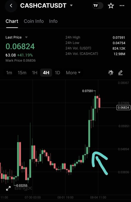 A 4-hour candlestick chart of CASHCATUSDT showing the token's price rising from around $0.03255 to a peak of $0.07591, with a hand-drawn arrow highlighting the recent sharp upward move to the current price of $0.06824 (+41.19%), visually confirming the 2x pump following the $2.7 million whale accumulation mentioned in the post.