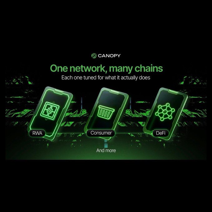 A dark promotional graphic with green neon accents for 'CANOPY' featuring the headline 'One network, many chains' and 'Each one tuned for what it actually does', showing three phone icons labeled 'RWA', 'Consumer', and 'DeFi' with 'And more' below.