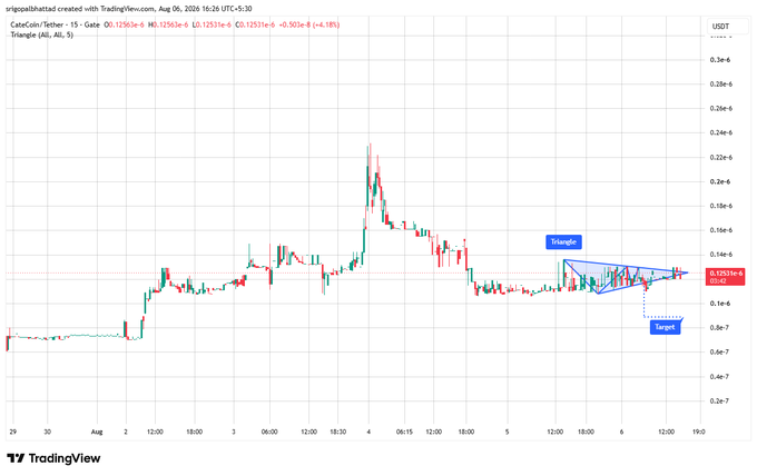 A TradingView candlestick chart for the CATC/USDT pair displays a descending triangle pattern with a 'Target' level marked, dated August 6, 2026.