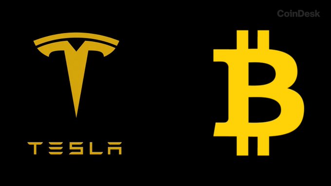 The image displays the gold Tesla logo and "TESLA" text alongside a large yellow Bitcoin symbol on a black background, with a "CoinDesk" watermark in the upper right. This visual reference to Tesla's cryptocurrency holdings ties to the post's speculation about the company's unreported DOGE assets beyond its known Bitcoin investments.