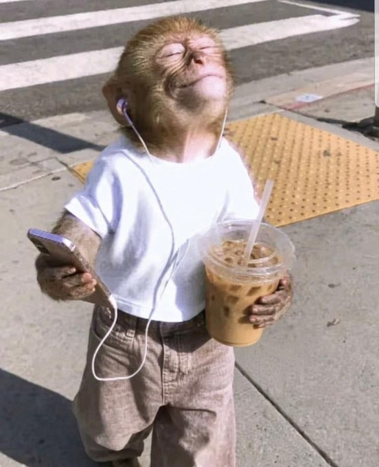 A monkey dressed in a white t-shirt and brown pants standing on a sidewalk, wearing earphones, holding a phone, and holding an iced coffee cup.