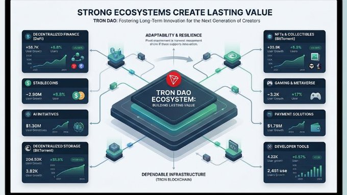An infographic titled 'STRONG ECOSYSTEMS CREATE LASTING VALUE' illustrating the TRON DAO Ecosystem across DeFi, NFTs, Gaming, AI, Stablecoins, Payments, Developer Tools, and Storage, highlighting user growth and total value.