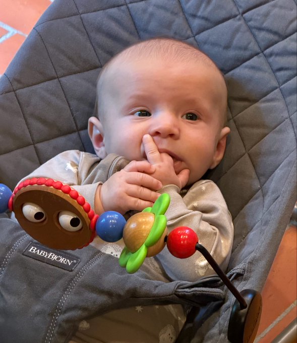 A baby sits in a "BABYBJÖRN" bouncer sucking their thumb while holding a colorful wooden toy, their innocent gaze contrasting with the bold, profane "GM to the bears" crypto post calling out bearish market sentiment.