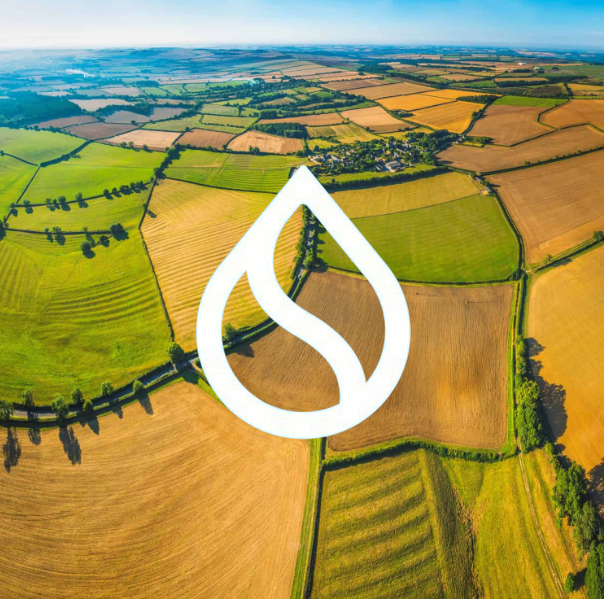 The image shows a large field with various crops growing across it. The field has different shades of green, yellow, brown, and orange, indicating diverse agricultural activities taking place. The white logo or symbol "S" is prominently displayed on this field, which could be related to an agricultural project or initiative being promoted by the Sui Network.