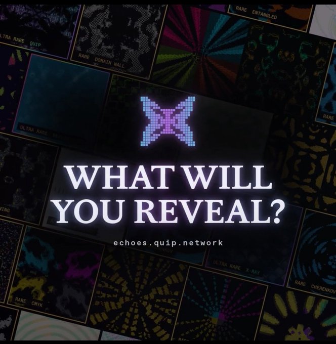 A dark collage background features a pixelated X logo with the text 'WHAT WILL YOU REVEAL?' and 'echoes.quip.network' visible.