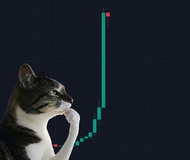 A curious tabby cat gazes upward thoughtfully at a candlestick chart displaying a sharp bullish rally, with a small red ticker visible at the bottom. The image visually represents the "GM dear green chain enjoyers" sentiment—showing hopeful optimism that ETH could break the $2K resistance and propel altcoins higher, while the cat's contemplative pose mirrors traders weighing the possibility.