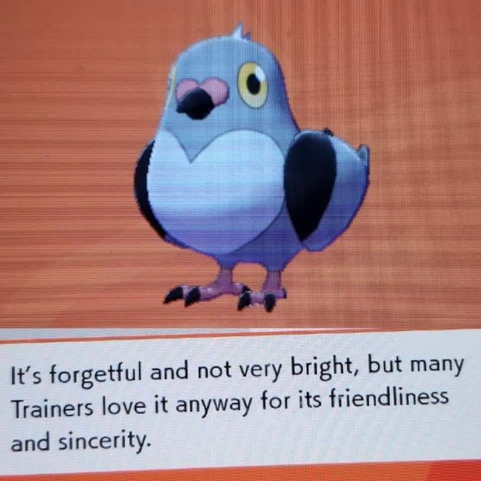 The image features a cartoon pigeon with blue wings, standing upright against an orange background. The text at the bottom of the image reads "I'm not very bright but many Trainers love it anyway for its friendliness and simplicity".