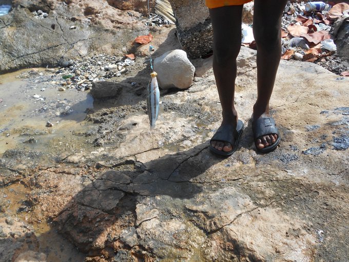 A photo showing a person's legs in dark sandals standing on rocky ground near a tide pool, with a small fish hanging from a string beside them, with seashells and stones scattered around.