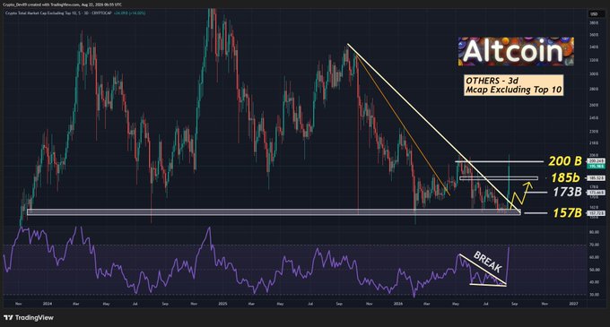 A cryptocurrency market chart from TradingView showing OTHERS 3D Mcap Excluding Top 10, with price levels marked at 200B, 185B, 173B, and 157B, and a 'BREAK' annotation pointing to RSI divergence.