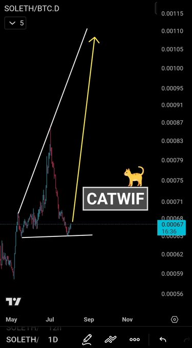 A TradingView chart showing the SOLETH/BTC pair with rising trendlines, a yellow arrow pointing up, and a "CATWIF" label featuring an orange cat.