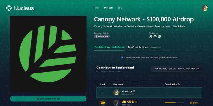 The image displays a webpage dedicated to an art auction or fundraiser called "CNPY Network - Canopy Network - $100,000 for Top 300 Creators" that took place recently. The page features a detailed screen listing the top 300 creators who contributed to the campaign. It is worth noting that a contribution of $50 has been made by Kaito kind of project.