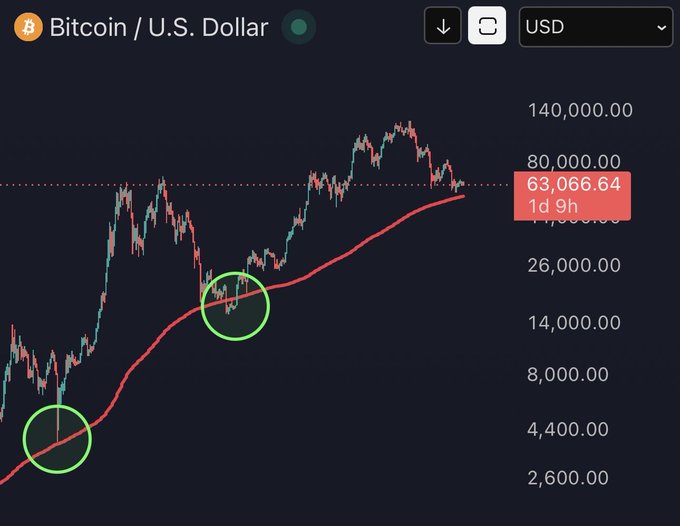 A candlestick chart of Bitcoin/U.S. Dollar (BTC/USD) priced at $63,066.64, with two green circles highlighting prior bottoms around $3,000 and $20,000 where price touched the red 300-week moving average, supporting the post's claim that BTC bottomed at this long-term MA during its last two major corrections.